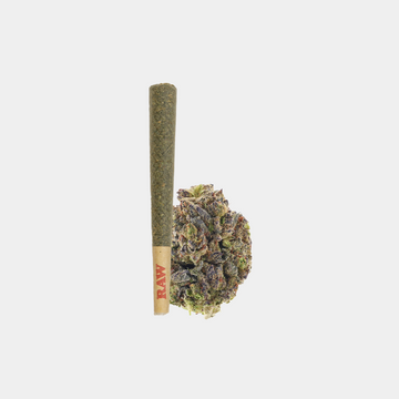 Birthday Cake THCa Flower Pre Roll, smooth smoke with sweet vanilla aroma.
Rolled up ready for sharing.