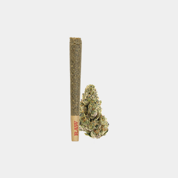 Black Ice THCa Flower Pre-Roll , offering smooth and sweet pine flavor. Rolled up
for convenient smoking. Perfect for sharing.