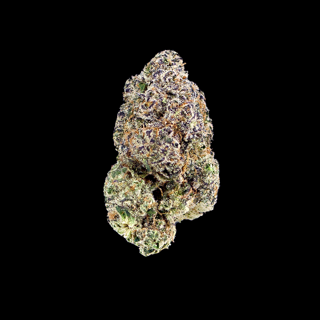 360-degree view of GMO Cookies THCa flower, showing dense, frosty buds with green and purple colors, rich earthy and diesel aroma
