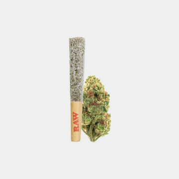 Venom OG Diamond-infused THCa Flower Pre-Roll, with sour and citrus aroma, crafted for potency. Perfect for sharing.