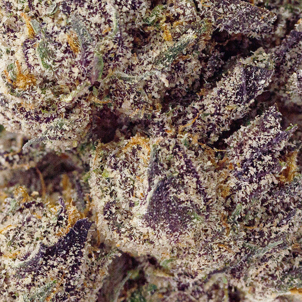 BOOM’s Top Shelf Pink Runtz THCa flower in a close-up, showcasing crystal
trichome coverage and vibrant colors