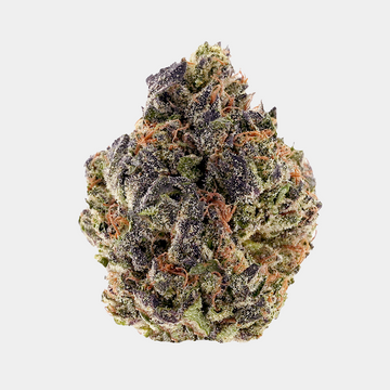 Tropicana Cherry Top Shelf THCa flower, frosty and vibrant green and purple hues with orange hairs and sweet fruity aroma