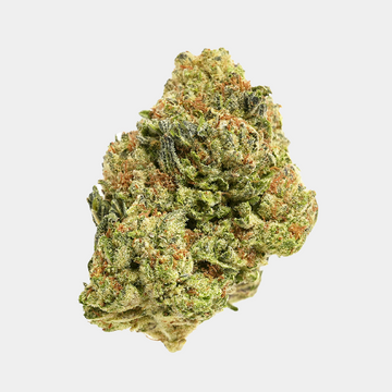 Venom OG