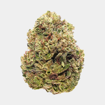 Zookies