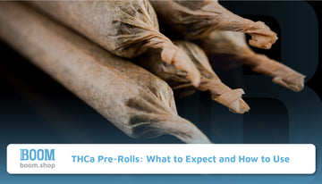 THCa Pre-Rolls What to Expect and How to Use - THCa Pre-Rolls for Sale Orlando - Best THCa Pre-Rolls
