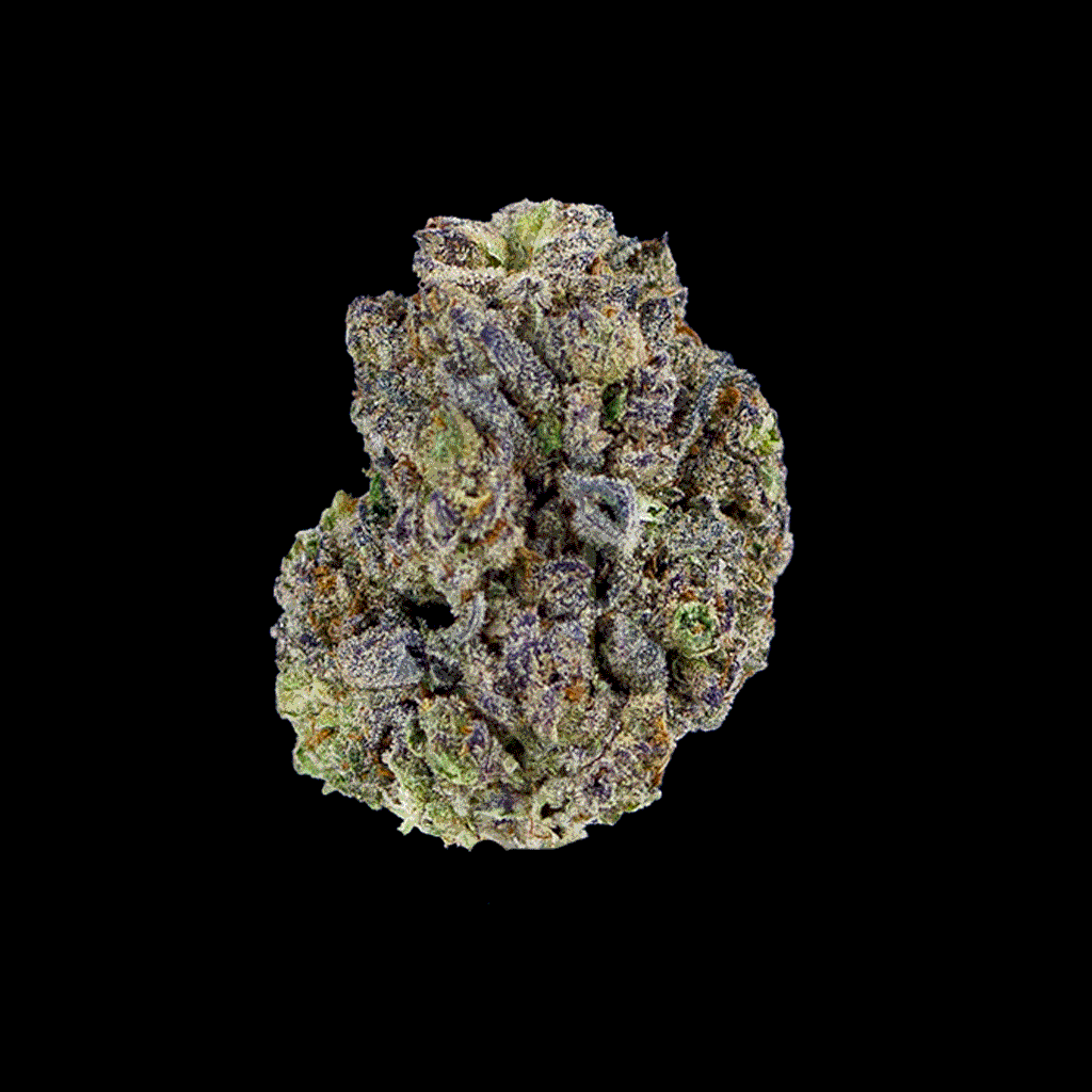 360-degree GIF of Birthday Cake THCa flower by BOOM, showing off dense, frosty buds with a sweet, vanilla-like aroma