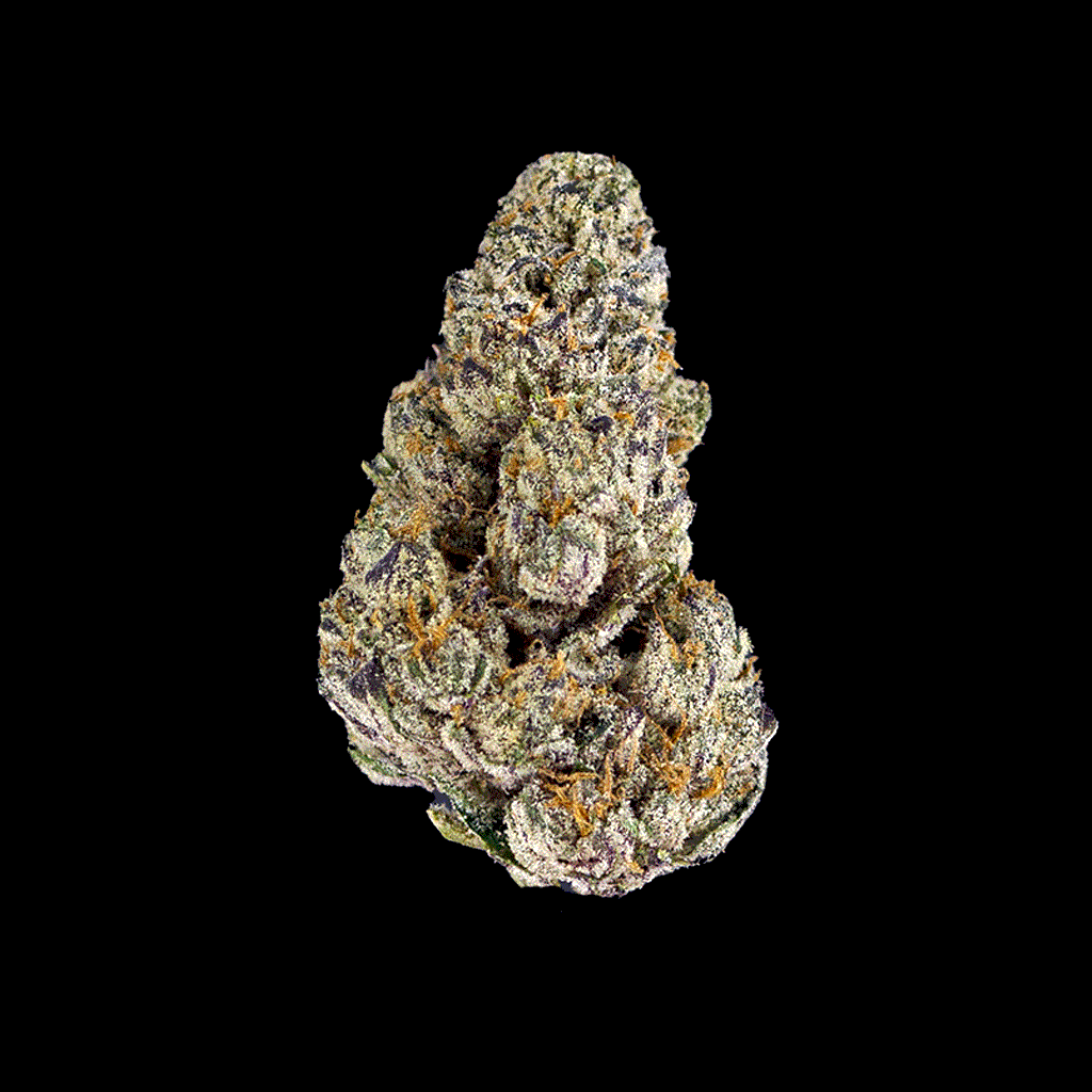 An all around view of Black Ice Flower strain,showing rich trichrome coated flowers with deep green and purple colors.
