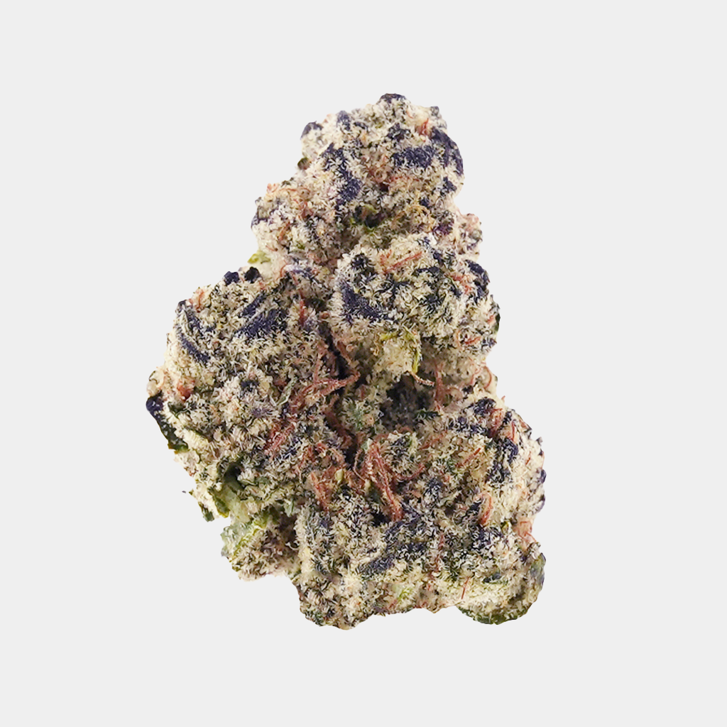 Black Truffle THCa flower from BOOM, dense buds with trichome-rich purple colored buds, with a distinctive tea like aroma.