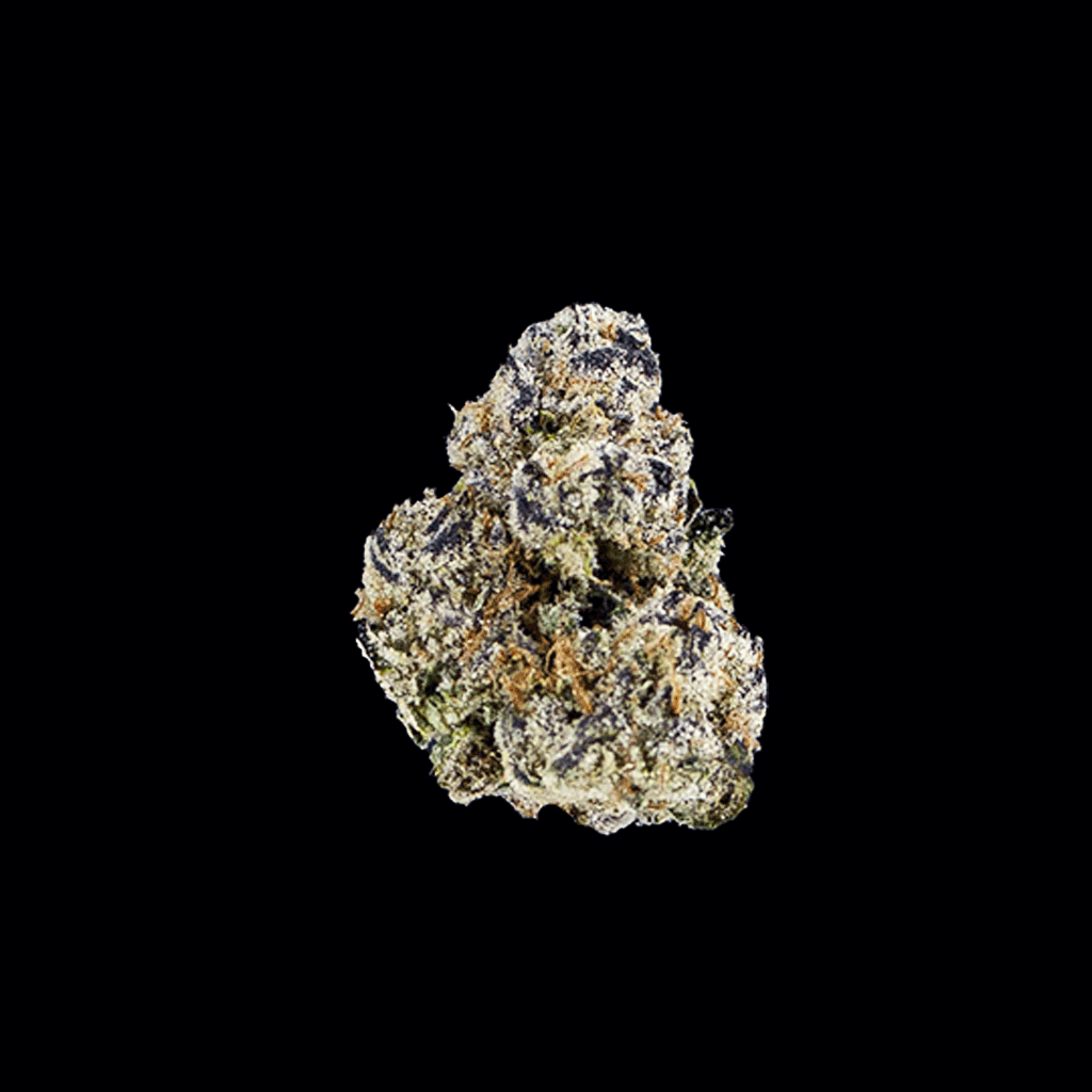 360 view of Black Truffle THCa flower, showcasing trichrome covered buds with deep green and purple colors.