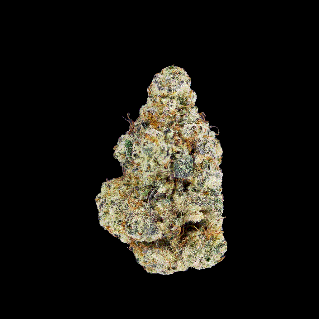 An all around view of Cap Junky strain,showing rich trichrome coated flowers with deep shades of green.
