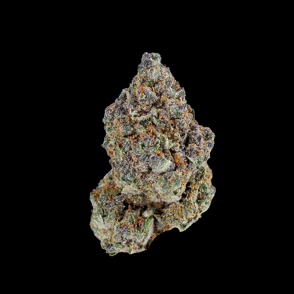 Rotating view of Laughing Gas Top Shelf THCa flower, showcasing high-quality , frosty, purple and green buds
