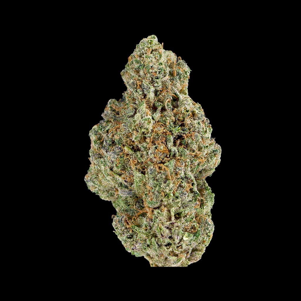 Rotating view of BOOM Oreoz THCa strain, displaying full bud structure, frosty
trichomes, and earthy vanilla scent.