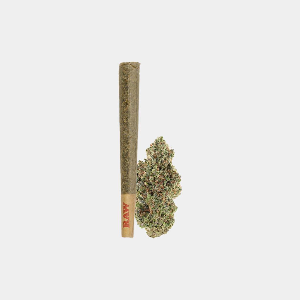 Oreoz THCa Flower Preroll by BOOM, ready-to-smoke, featuring diesel earthy aromas. Rolled up for easy smoking and sharing.