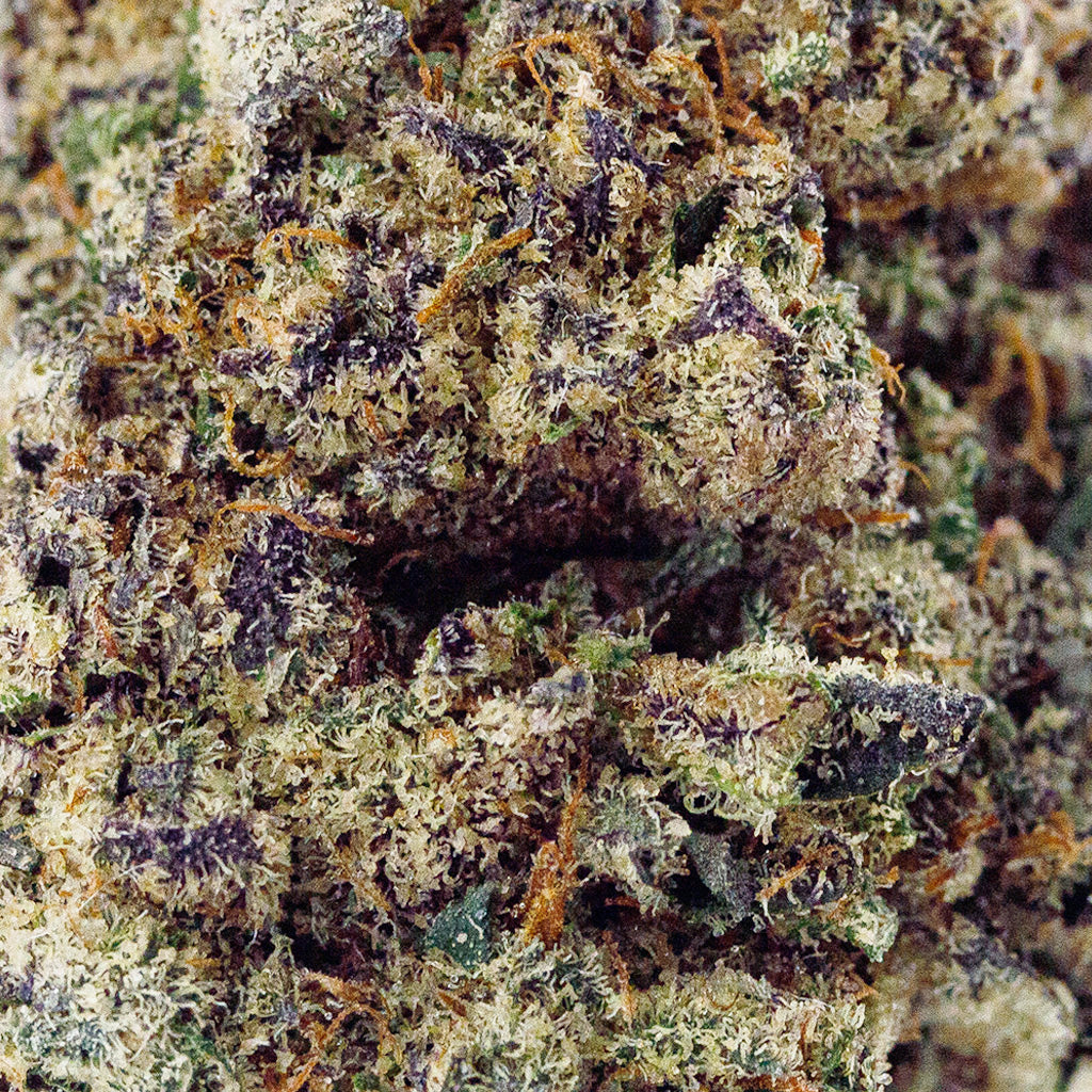 Close-up macro of BOOM’s Pink Lemonade THCa flower, showcasing dense frosty trichomes with vibrant green and purple colors