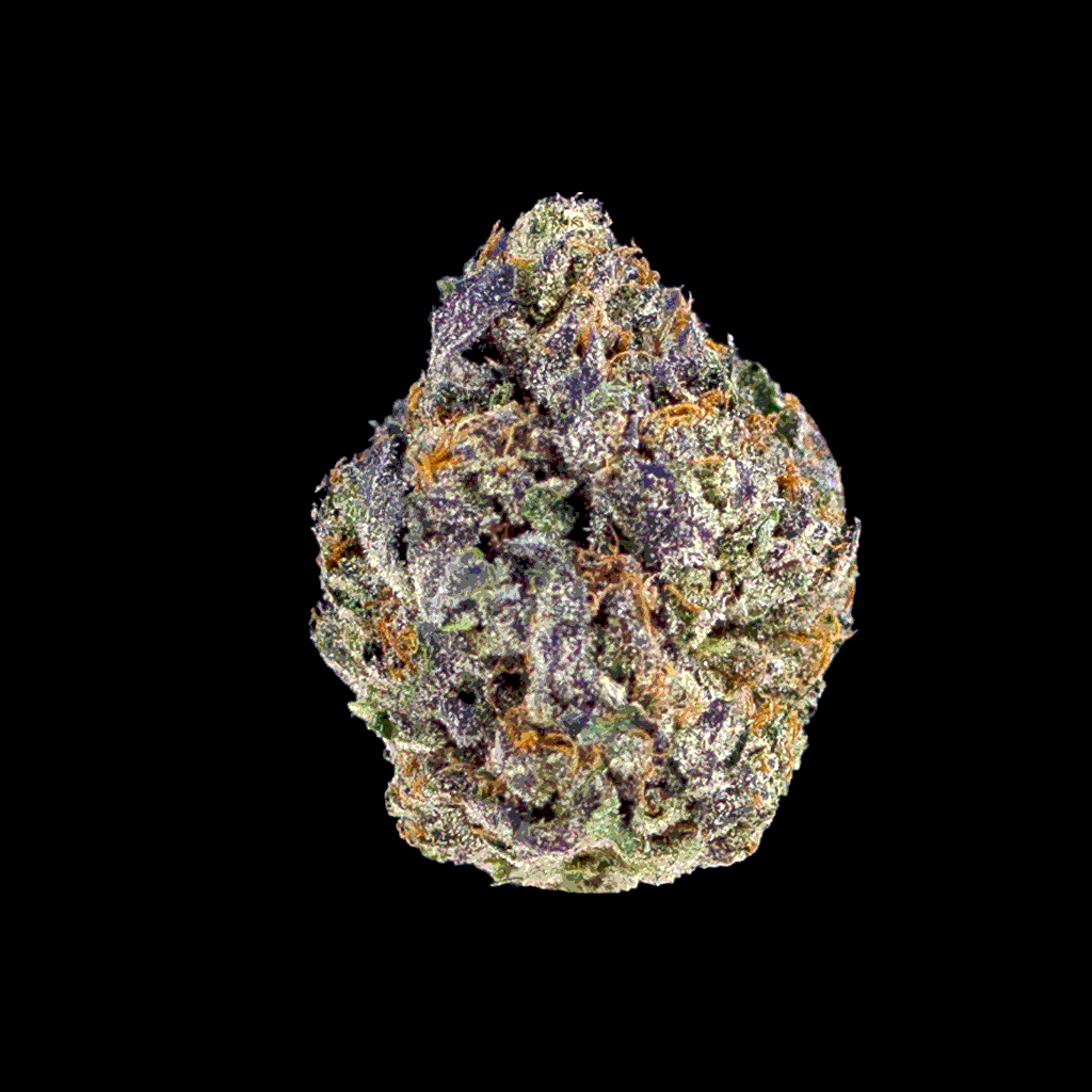 Rotating view of Tropicana Cherry top shelf THCa flower, colorful and frosty
trichome coated buds