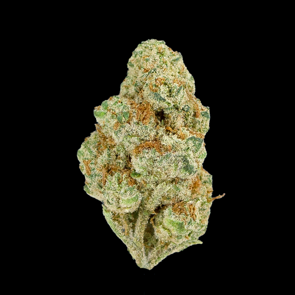 Rotating view of Top Shelf Venom OG THCa flower, featuring vibrant green and frosty buds